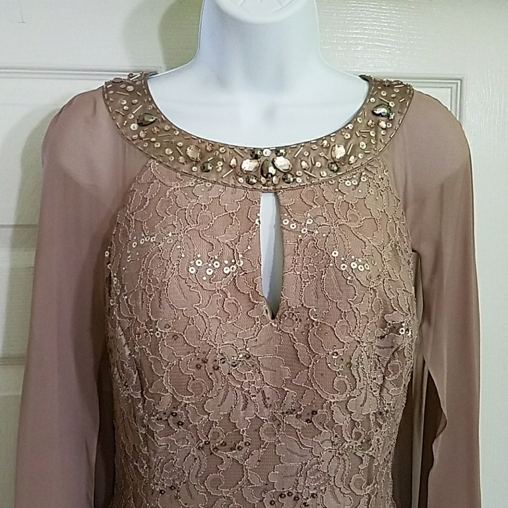 Beautiful capelet dress! unaltered! 🍃🌹 - Picture 5 of 7